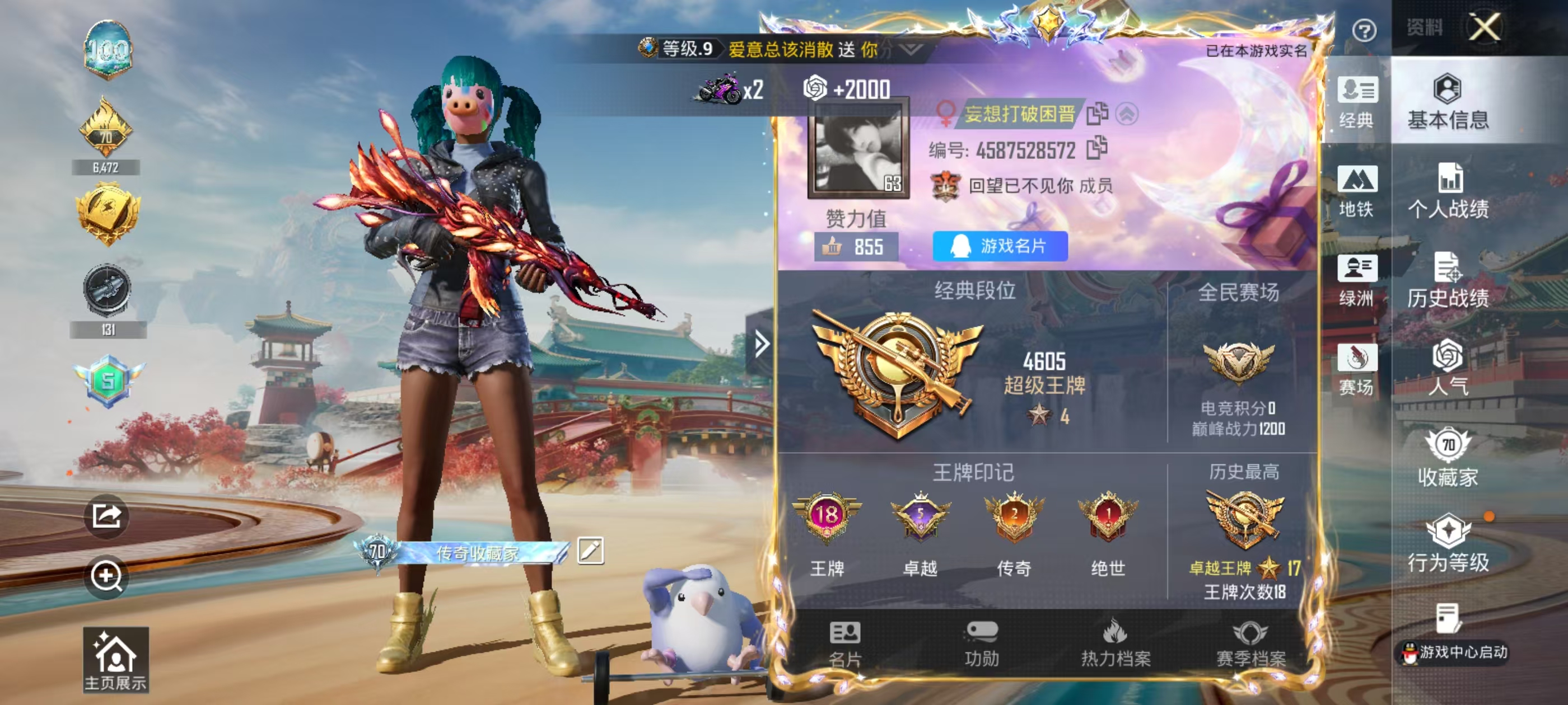大图