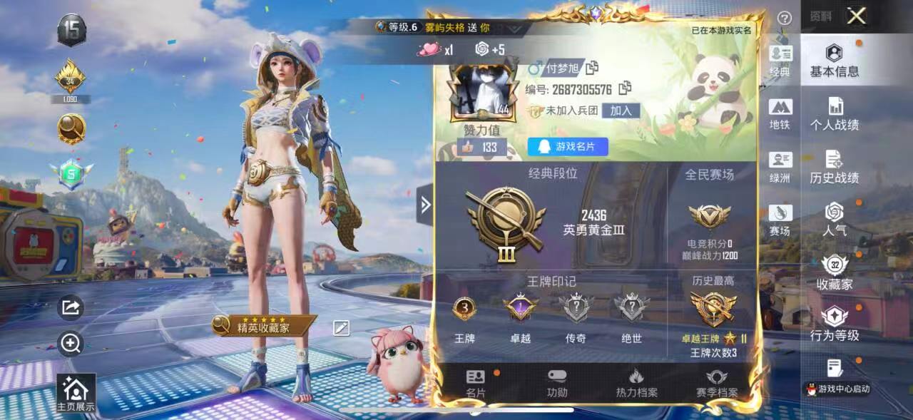 大图