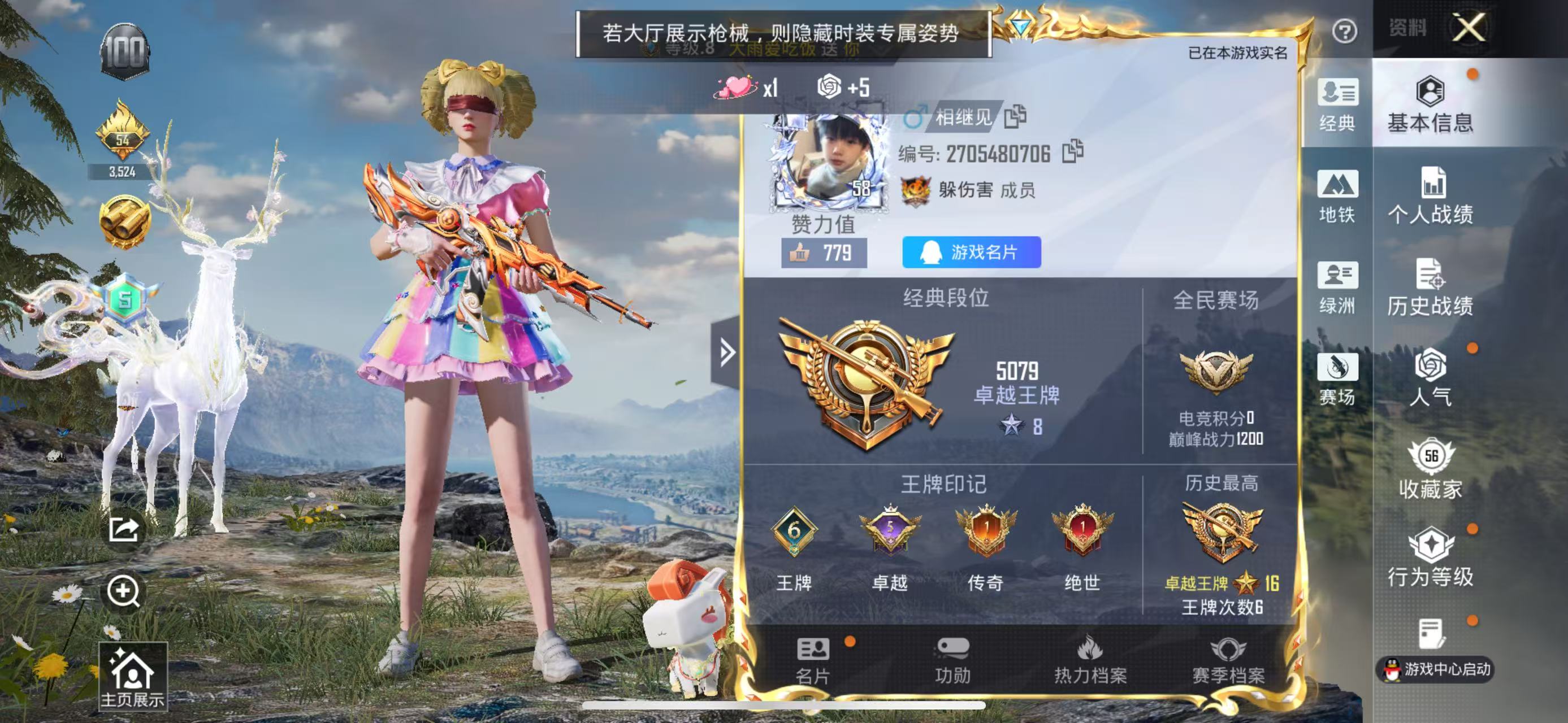 大图