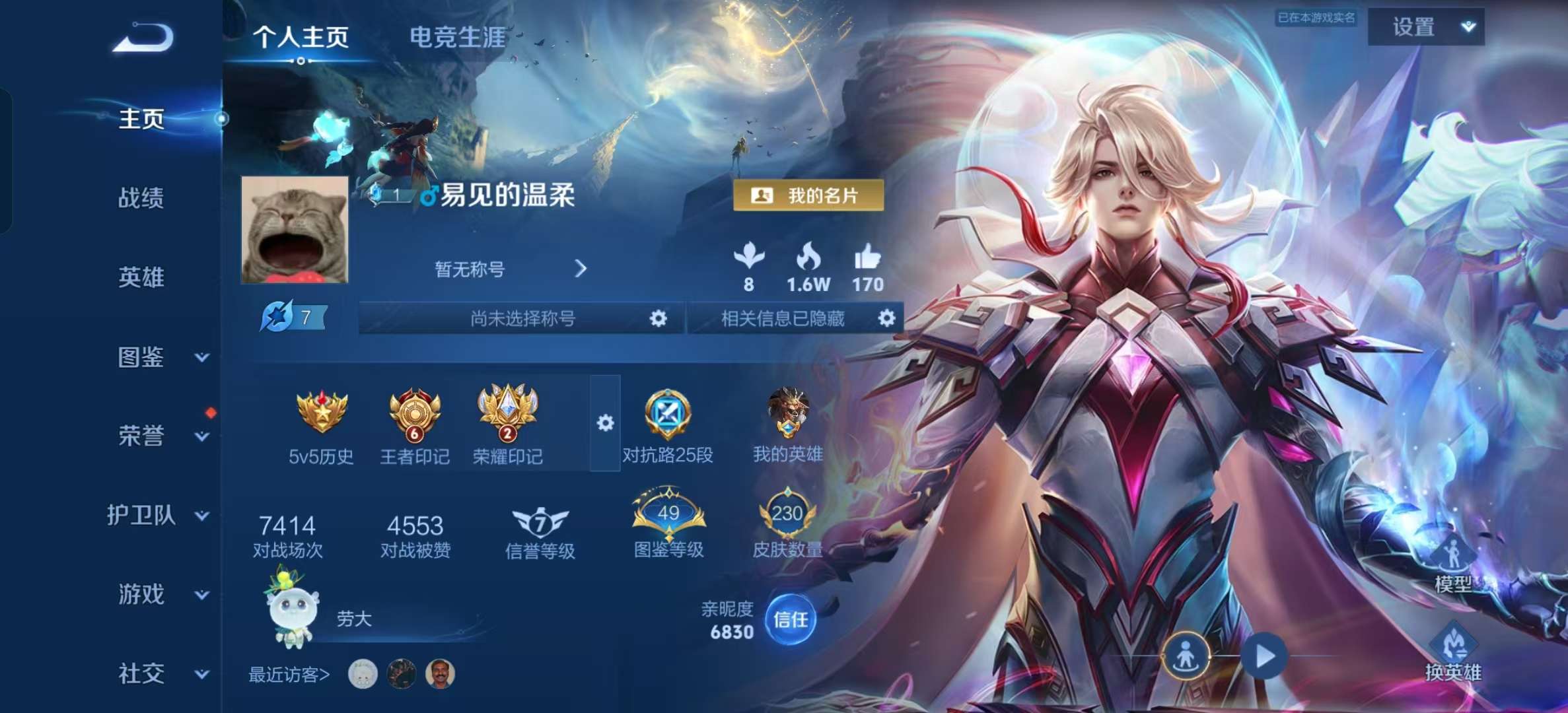 WZLX4355621王者荣耀账号详情图1