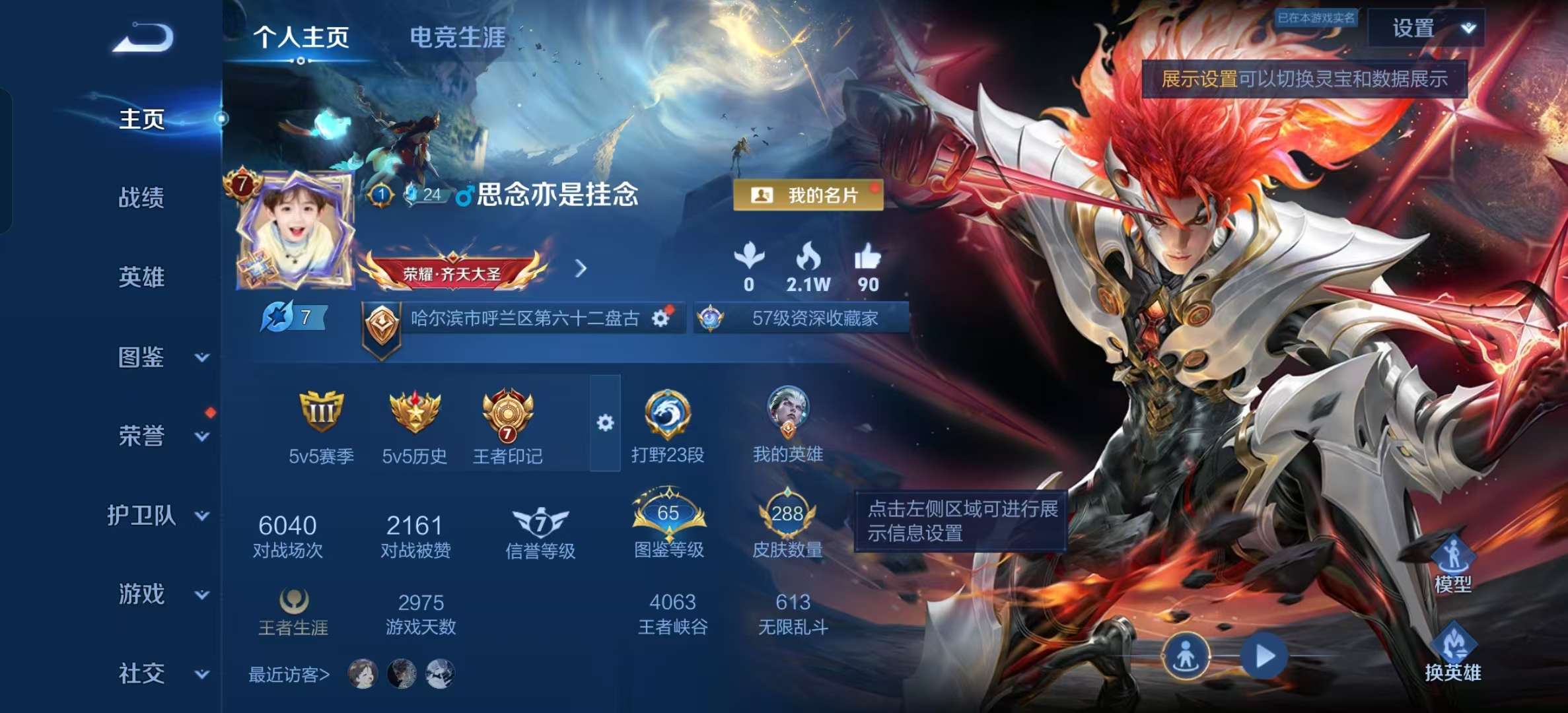 WZLX4355608王者荣耀账号详情图1