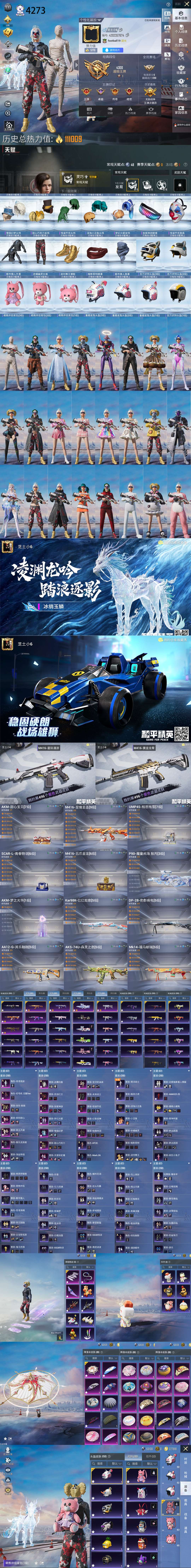 HPQM4254606和平精英账号详情图2
