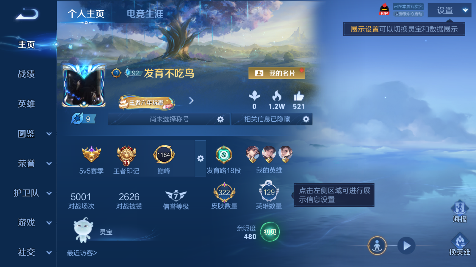 WZLX4467611王者荣耀账号详情图1