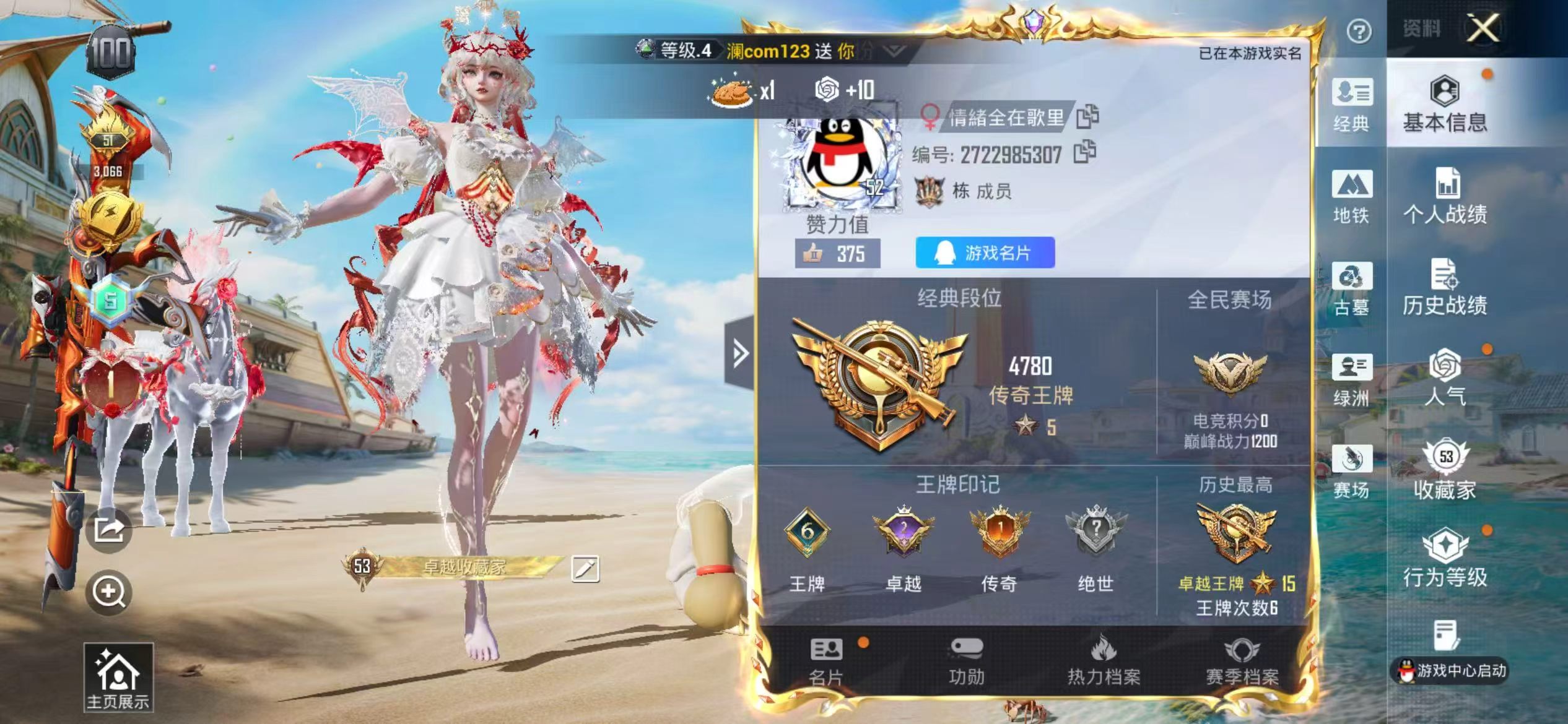 账号详情图片