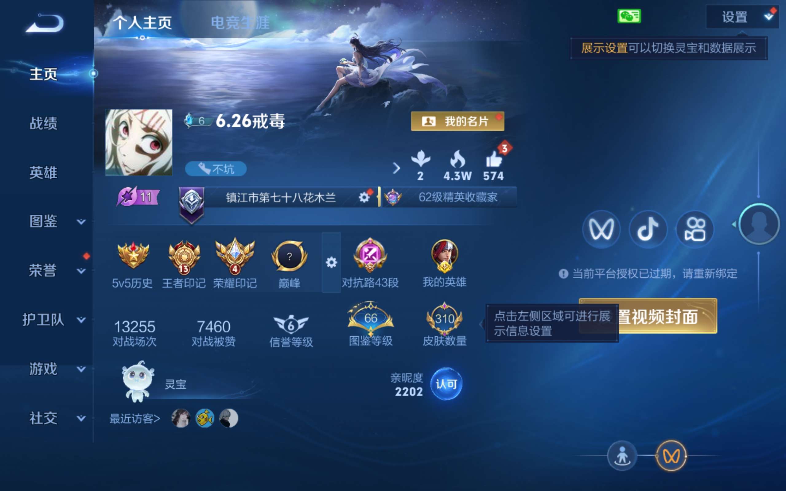 WZLX4496660王者荣耀账号详情图1