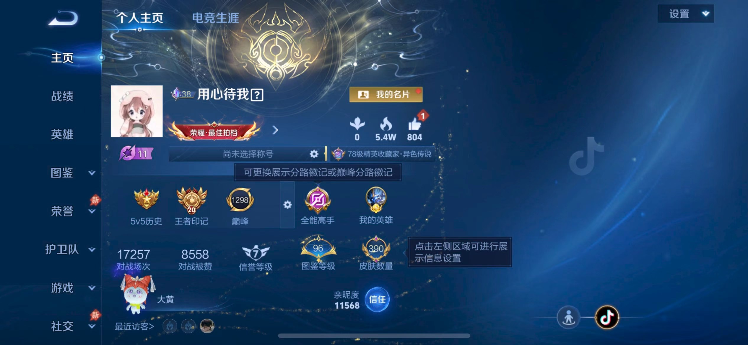 WZMMN4594460王者荣耀账号详情图5 WZMMN4594460王者荣耀账号详情图5