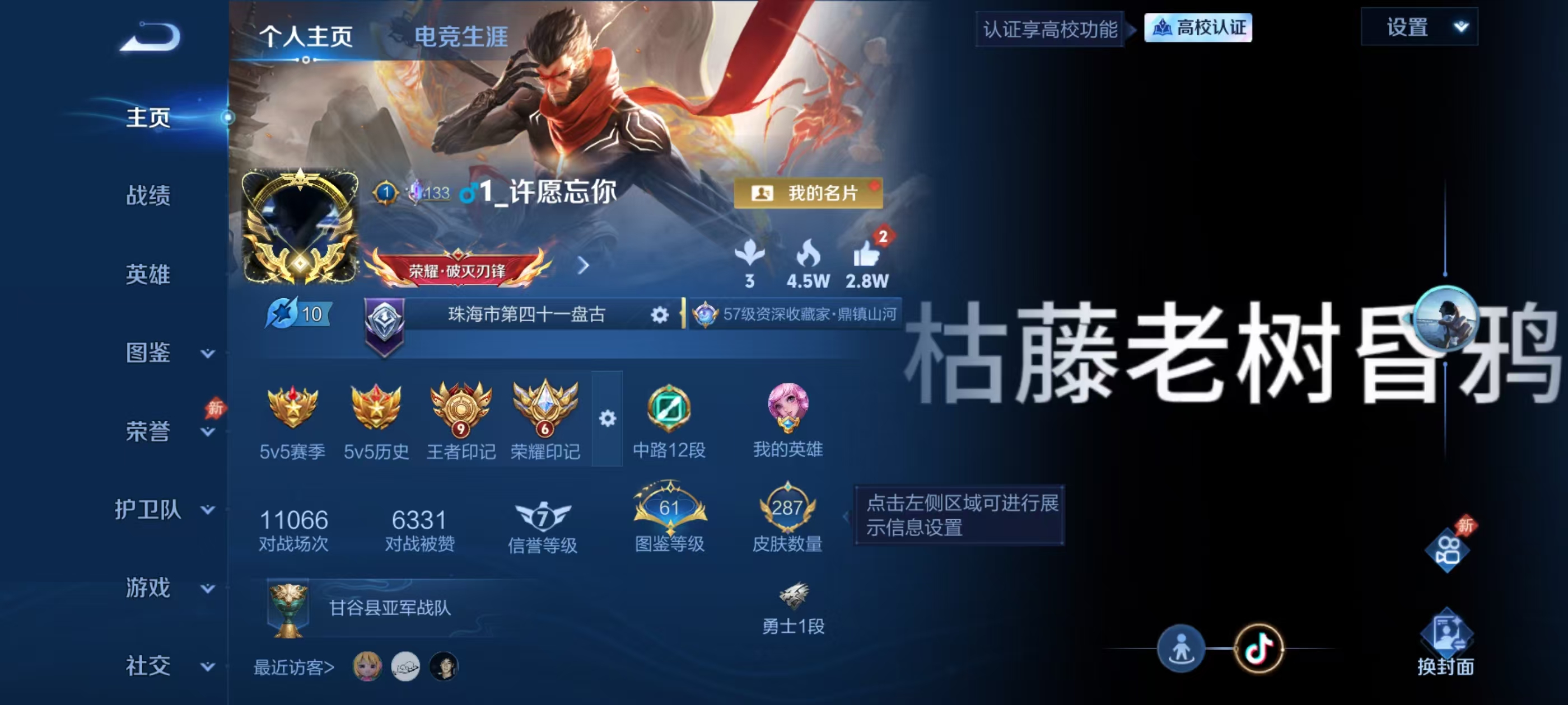 WZMMN4653581王者荣耀账号详情图5