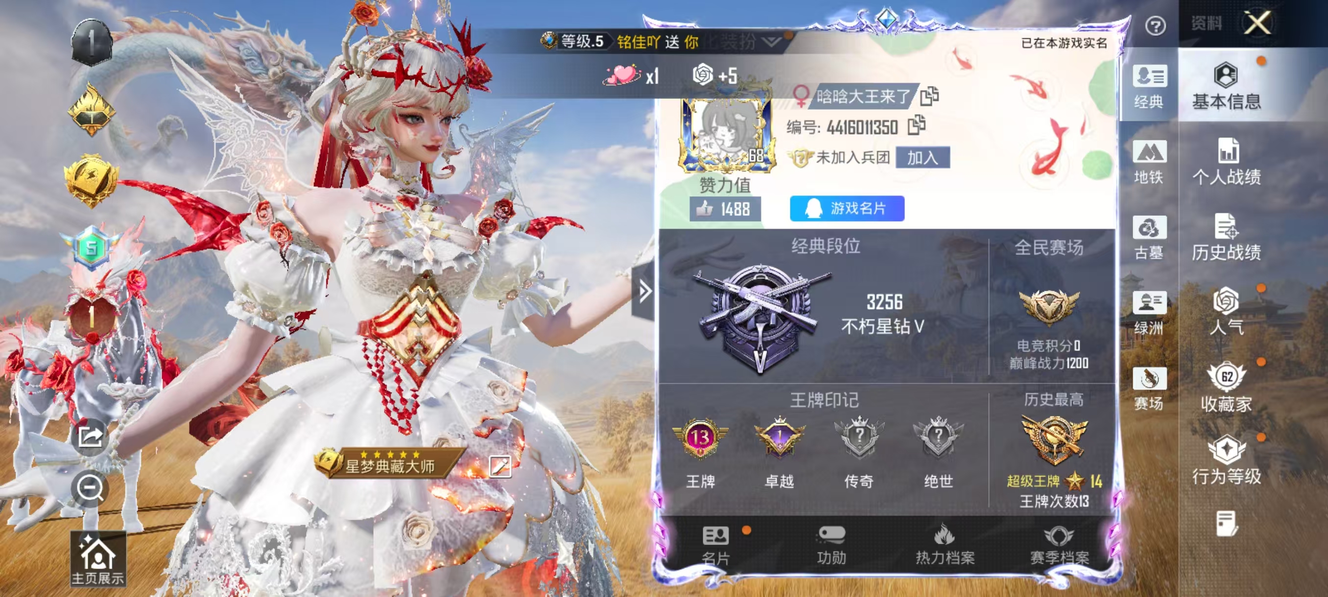 账号详情图片