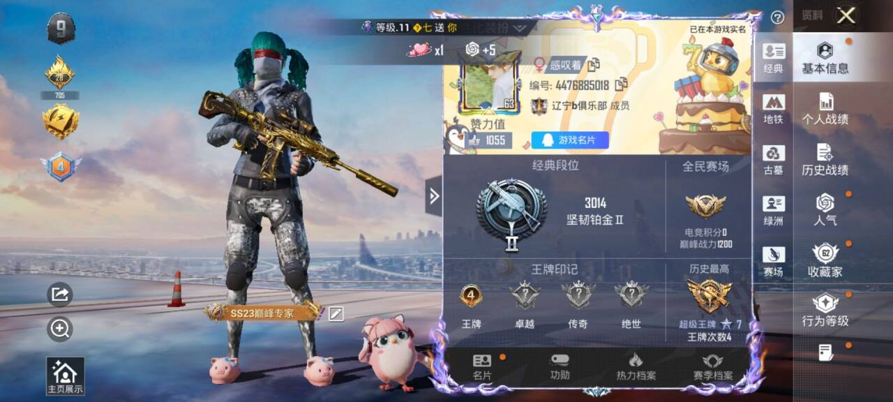 账号详情图片