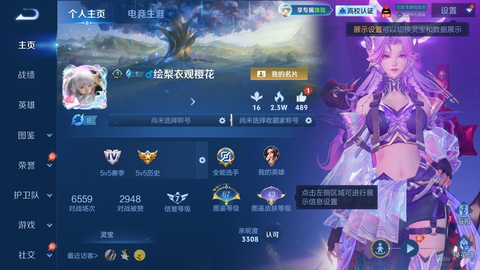 WZMMN4708528王者荣耀账号详情图2 WZMMN4708528王者荣耀账号详情图2