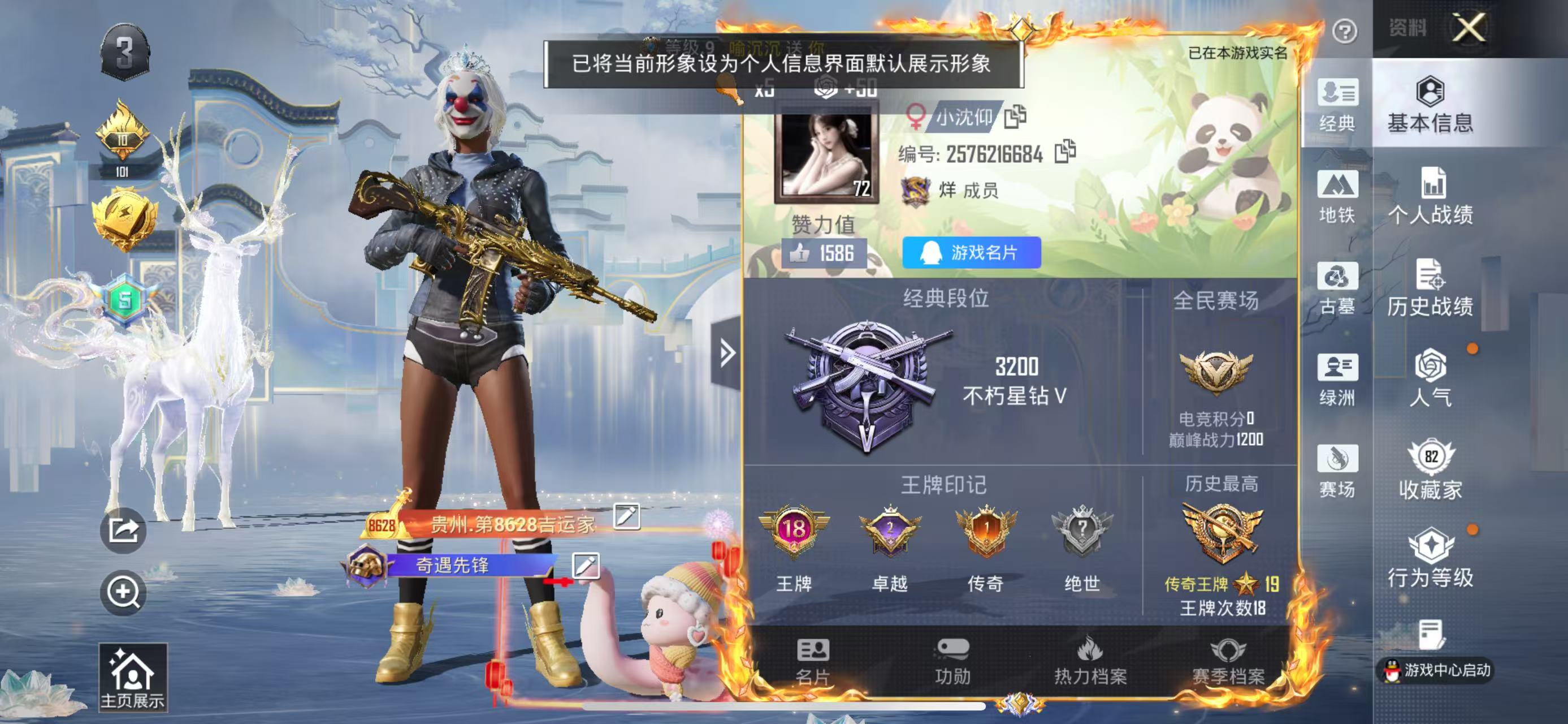账号详情图片