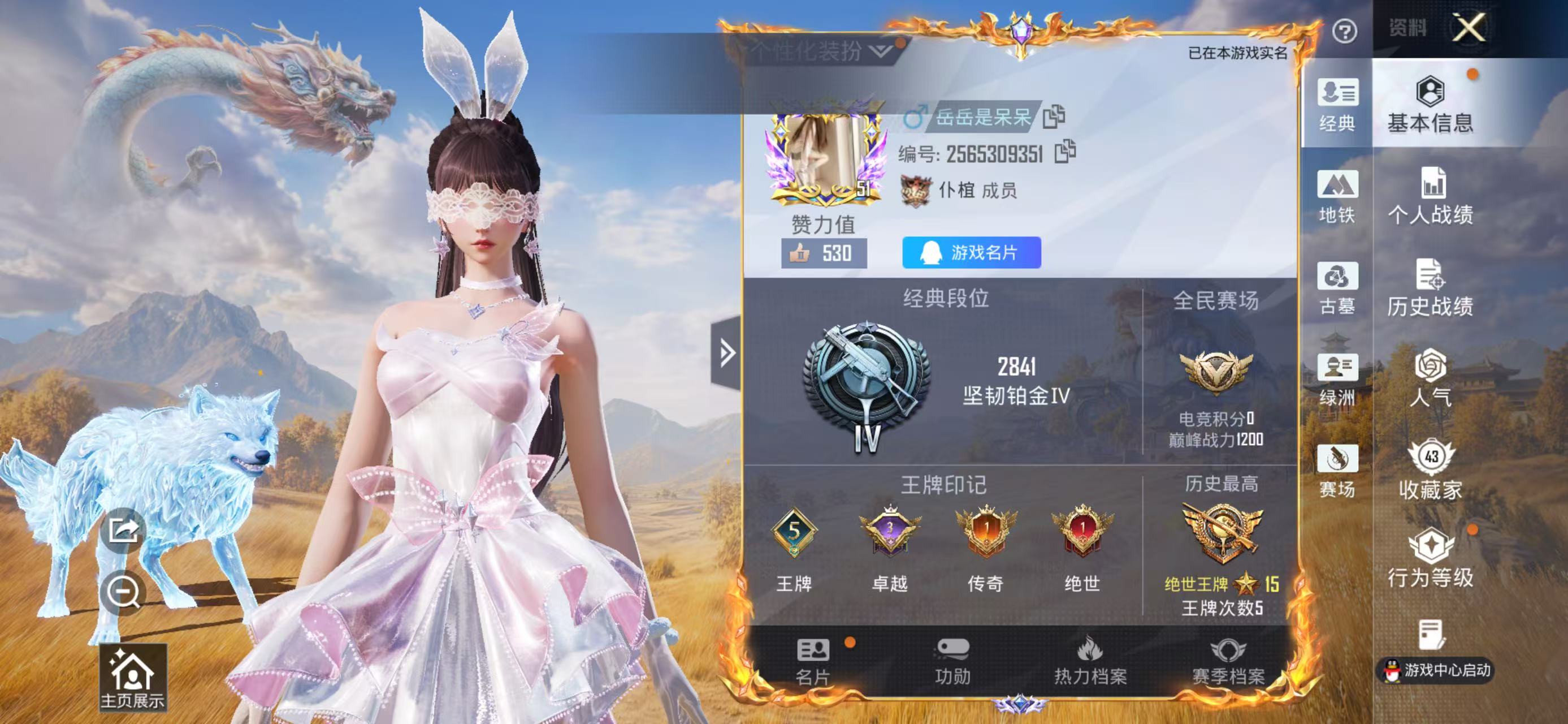 账号详情图片