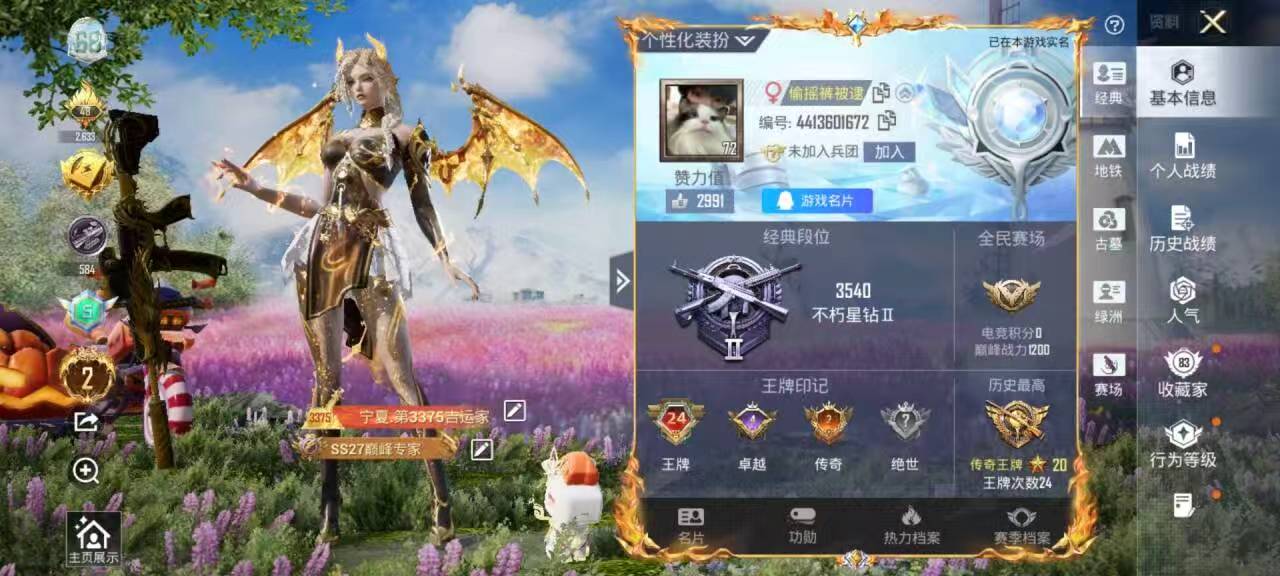 账号详情图片