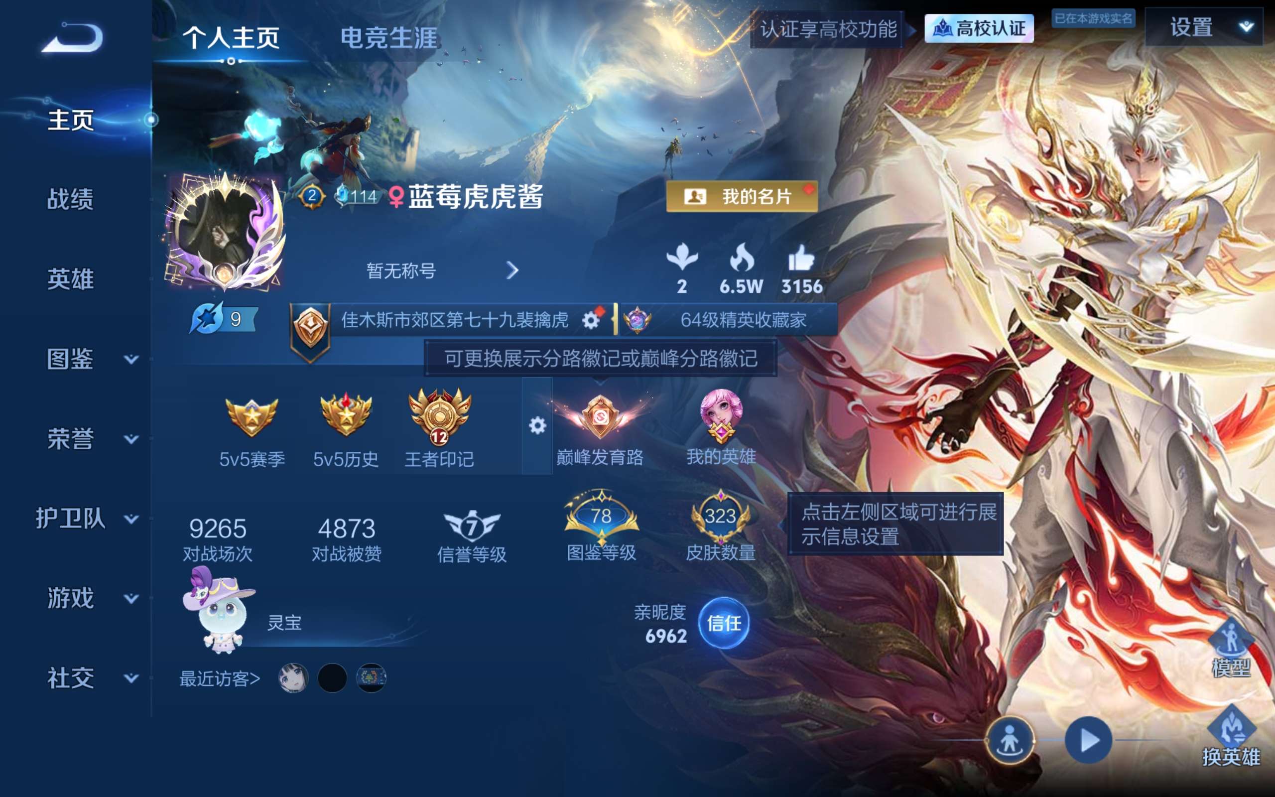 WZMMN4646972王者荣耀账号详情图2